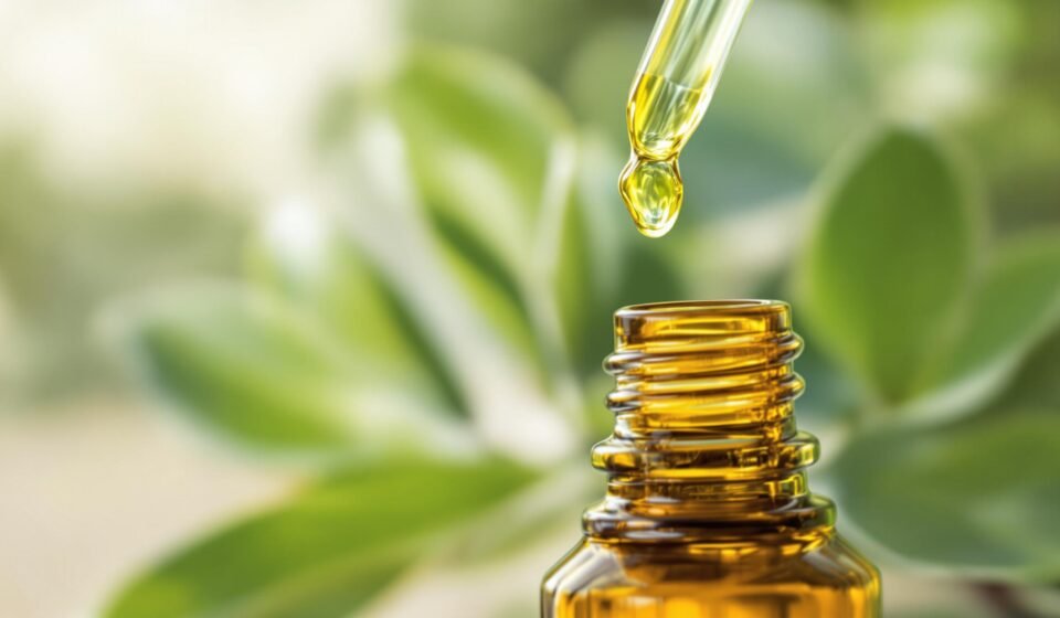 Huile essentielle eucalyptus : bienfaits clés undefined