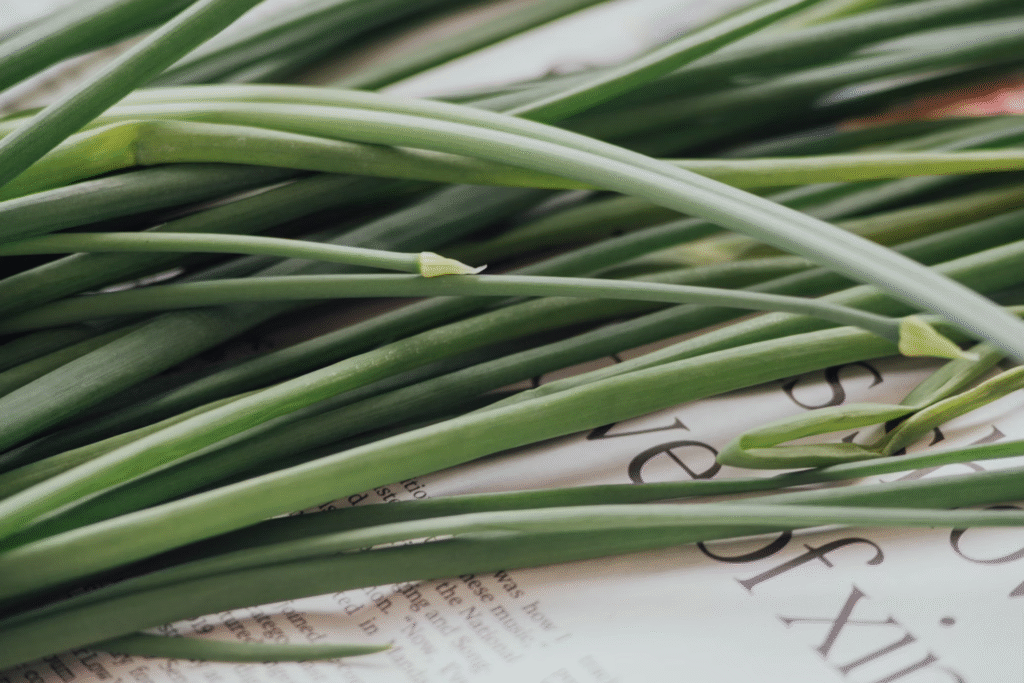 pousses de lemongrass sur du journal