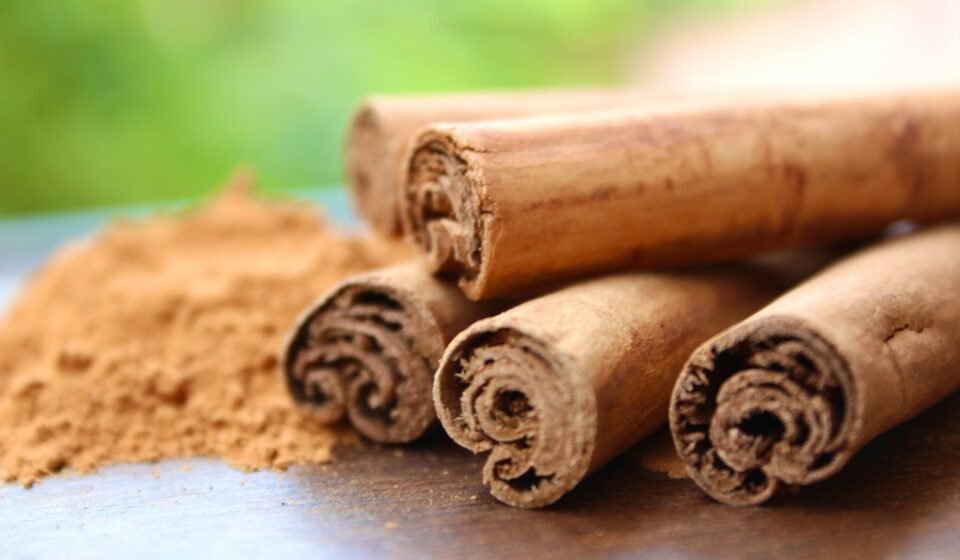 Cannelle de Ceylan : Propriétés, bienfaits, utilisation bâtons de cannelle