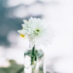 découvrez des remèdes maison simples et efficaces pour soigner divers maux du quotidien. transformez des ingrédients naturels en solutions de bien-être pour votre santé!